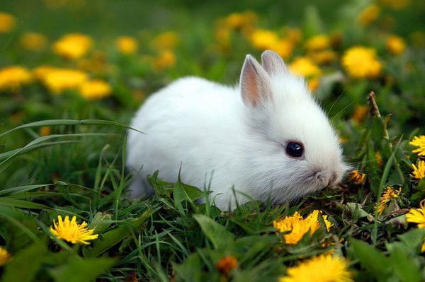 Татьяна Смирнова