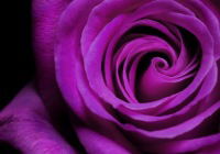 Татьяна Муравлева