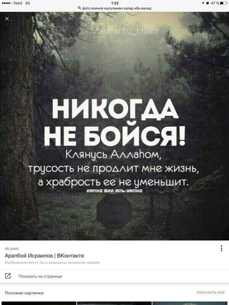 Сармат Адамулы