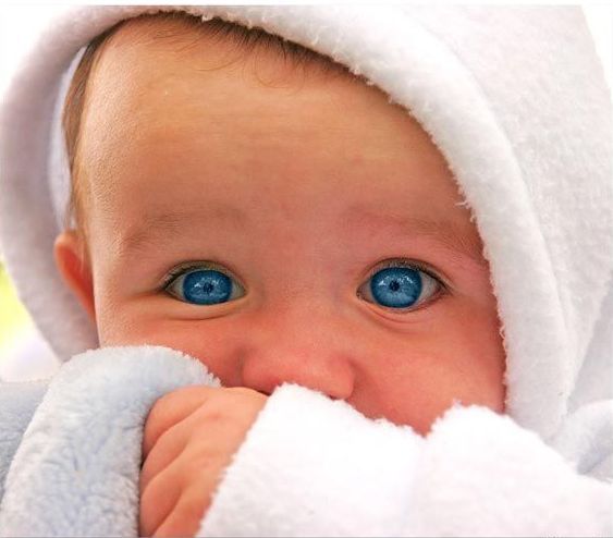 Руслан Кувшинов