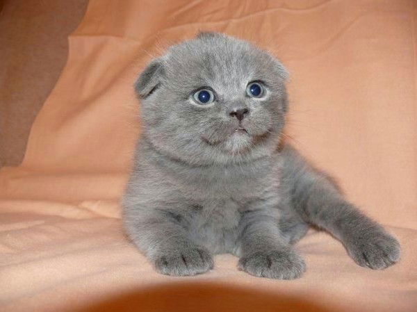 Айза Мутушева