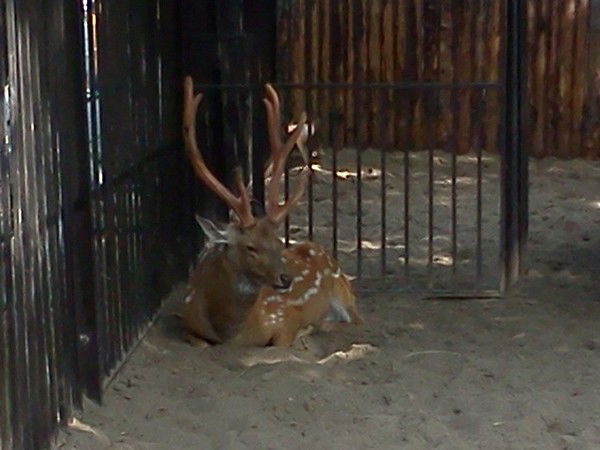 Андрей Бакулин