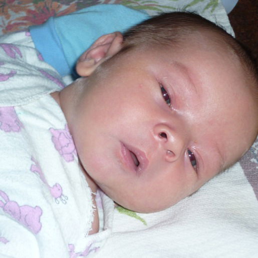 Роман Евдокимов