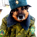 Сергей Докучаев