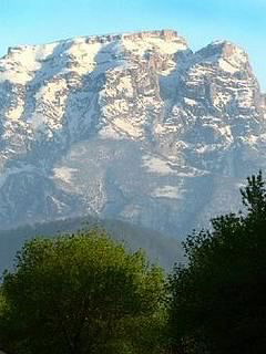 Залина Зали