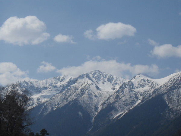 Светлана Похилина