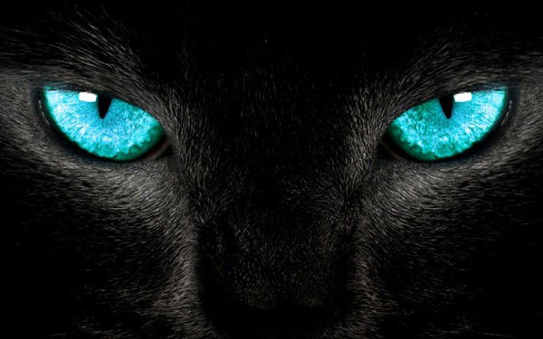 Елена Елена