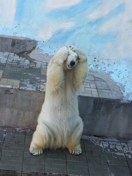 Иван Янковский