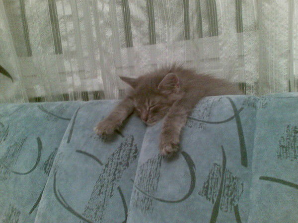 Иван Левадний