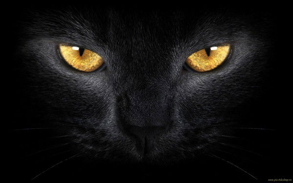 Татьяна Финк