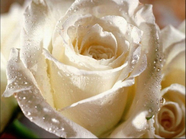 Гузель Сафина