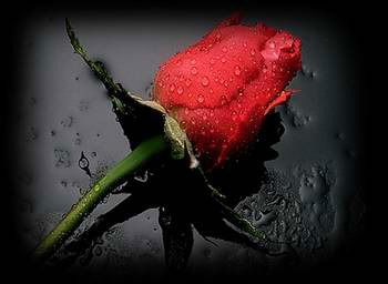 Шолпан Актаева