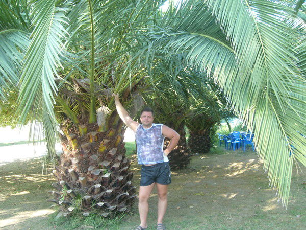 Анатолий Братчиков