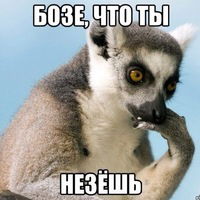 Владислав Маслий