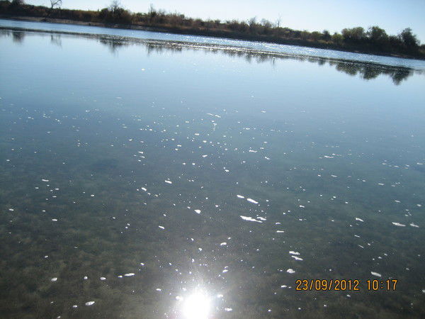 Александр Ерачин