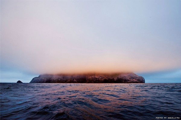 Богдан Титомир