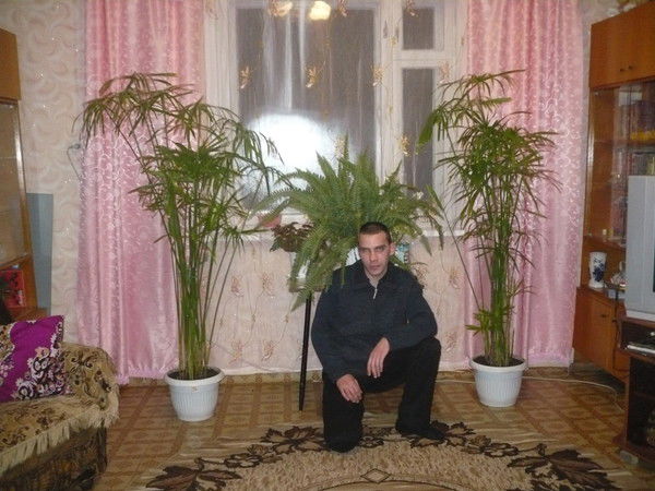 Юрий Гаврилов