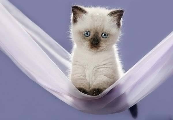 Валерий ******