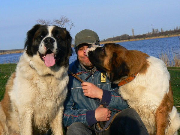 Сергей Щербань