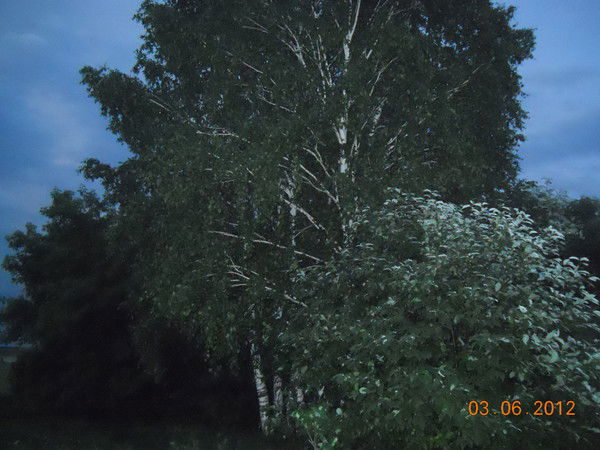 Галина Назарова