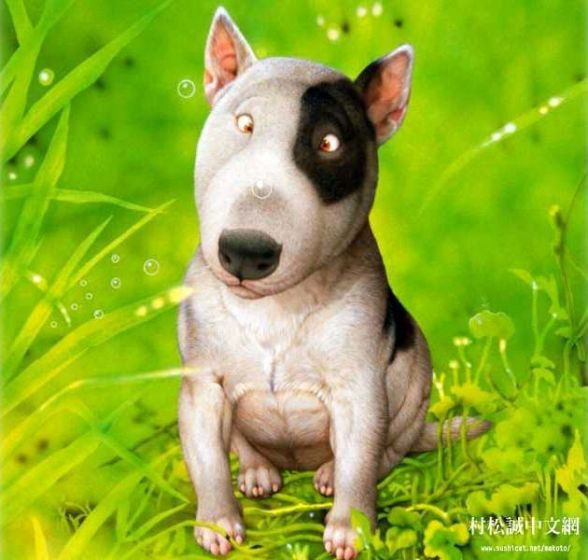 Елена Николенко(Колбун)