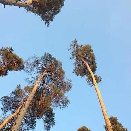 Галина Финогенова