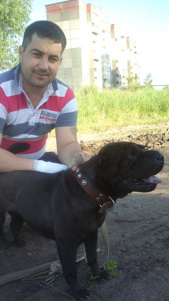 Роман Яковлев