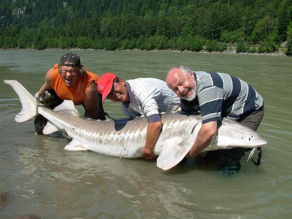 Таупих Бакытов