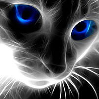 Елена Фомина