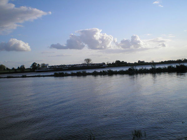 Наталья Белошина