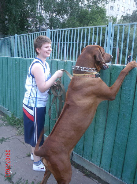 Денис Красота