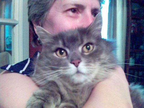 Валерий Сорокин