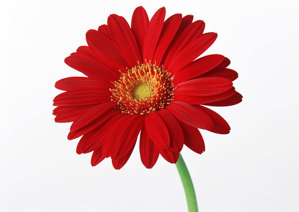 Неизвестно Неизвестно