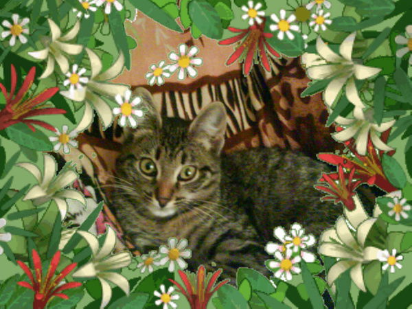 Сергей Иващенко