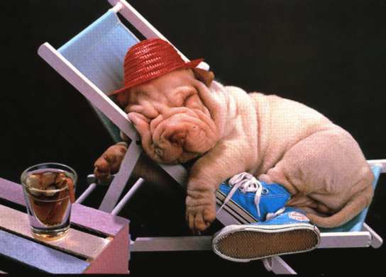 Юрий Боликов