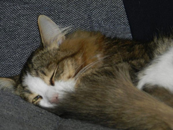 Игорь Белый