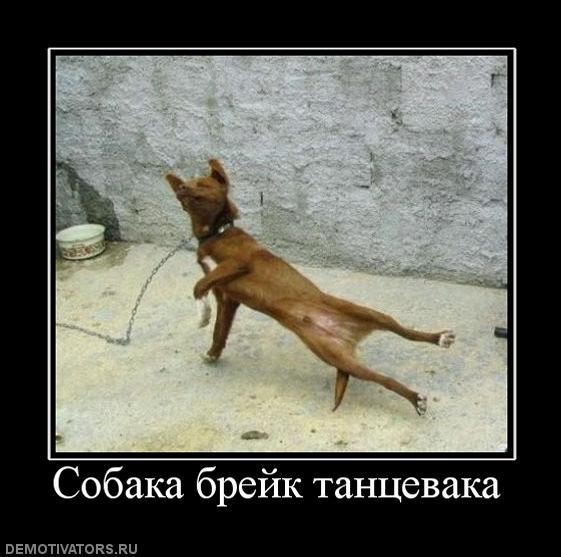 Виктория Журавлёва