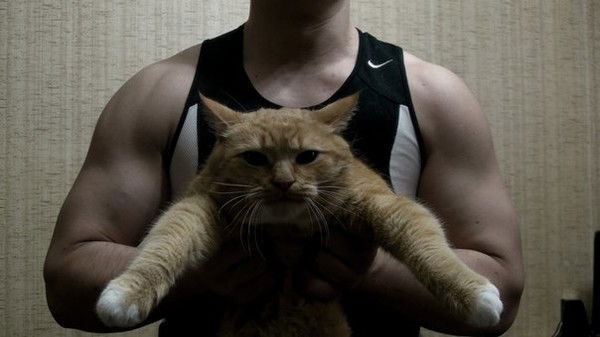 Сергей Черемных