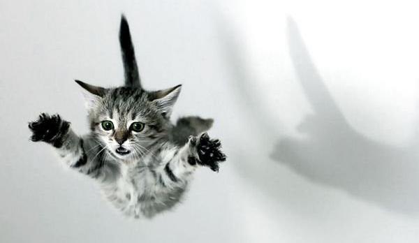 Александра