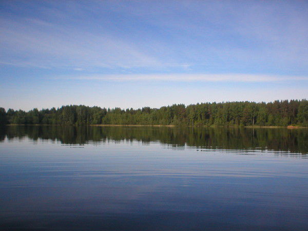 Галина Высоцкая