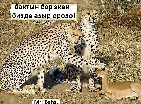 Али Мукамбетов