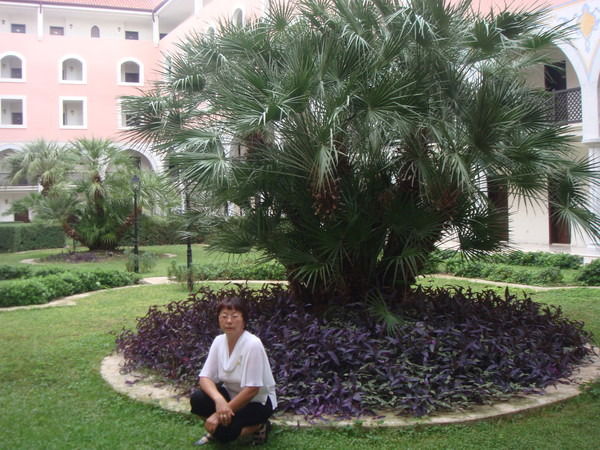 Нуржамал Шапиева