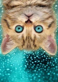 Саша Хитров