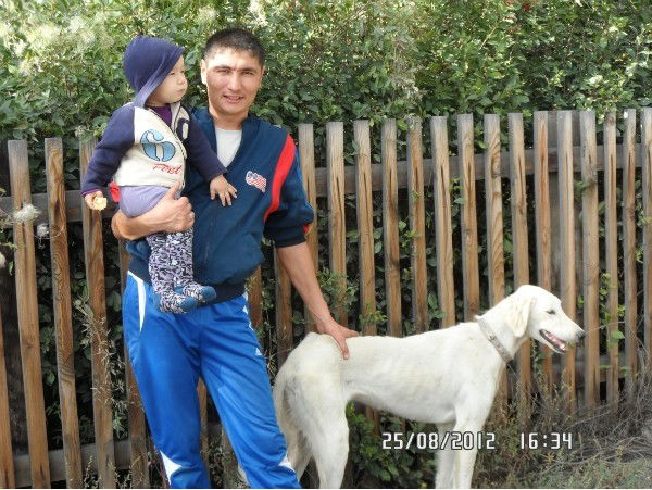 Жасулан Мажибаев