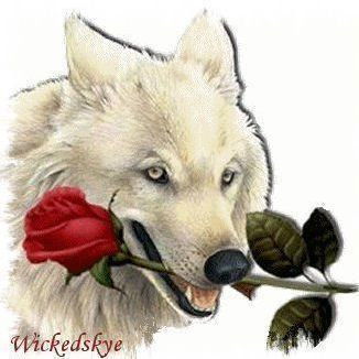 Одинокий Волк