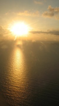 Алёна Шишлянникова