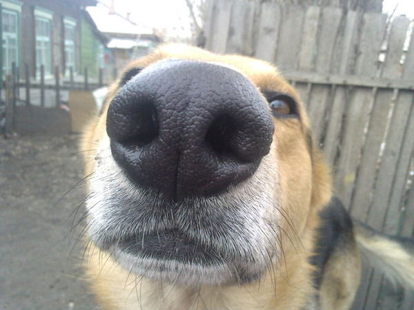 Василий Драбинка