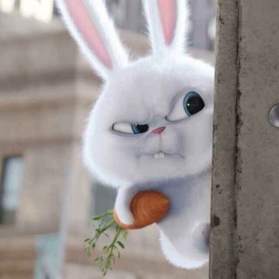 Юлия Решитько