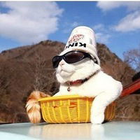 Лена Разинова