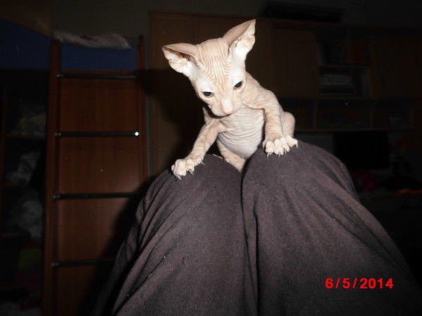 Юлия Бородина